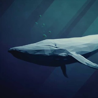 Логотип телеграм канала @whale_friend — Whale Friend
