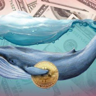 لوگوی کانال تلگرام whale_movemen2024 — حرکت نهنگ 🐋🐋🐋