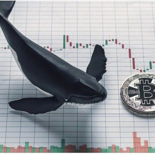 Logo saluran telegram whale_target — Crypto Whale funda