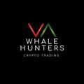 Logo des Telegrammkanals whale200 - Whale hunters | توصيات