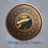 Логотип телеграм канала @whale52hzcrypto — Whale 52Hz Crypto
