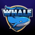 Logo saluran telegram whale_advertising — Whale AD 🐋