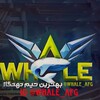 لوگوی کانال تلگرام whale_afg — Whale_Afg