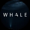 Logo of telegram channel whale_cefi — Whale 🐋