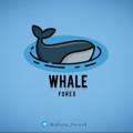 Logo saluran telegram whale_forexx — 𝗪𝗵𝗮𝗹𝗲 FOREX