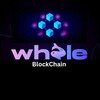 Logo of telegram channel whaleblockchainnews — Whale BlockChain | News🐬