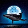 Логотип телеграм канала @whaledecrypto — Прихожая Кита. 🐳