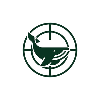 Logo of telegram channel whalehunter_eng — Still Early