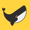 Logo of telegram channel whaleofgemscalls — Whale Of Gems Calls