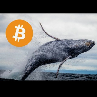 Логотип телеграм канала @whales_signals400 — Crypto whales pump