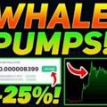 Logo des Telegrammkanals whales100xsignals - HYPE IT NOW ICO / DEFI / Play To Earn🐳🐳