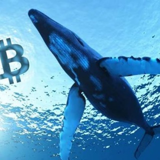 Logo of telegram channel whalesguide — Whales Crypto Guide