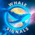 Logo saluran telegram whalesignalsinfo — Whale Signals - info