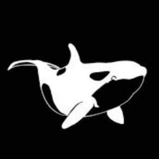 Logo of telegram channel whalesignalsofficial — Whales Signals