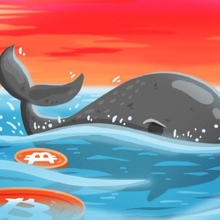 Logo saluran telegram whaleskingdombsc — WHALES BIG PUMP 👑 BSC Community