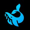 Логотип телеграм канала @whaletalks — Что говорят киты? 🐋