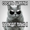 Логотип телеграм канала @whatisthiswow — канал фоири