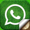 Logo saluran telegram whatsapp_status_4k_hd — 𝐇𝐃 𝐖𝐇𝐀𝐓𝐒𝐀𝐏𝐏 𝐒𝐓𝐀𝐓𝐔𝐒