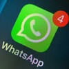 电报频道的标志 whatsapp_viber_data — WS开通检测｜TG活跃检测｜年龄性别｜天数筛选