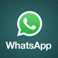 电报频道的标志 whatsappdafei — whatsapp频道/海外流量/line专业频道