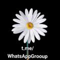 Logo of telegram channel whatsappgrooup — قناة نشر روابط مجموعات واتساب قناه روابط قروبات واتساب سعودية واتساب واتس وتس وتسب وتساب وات سب وتس أب روبط وتسب