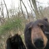 Логотип телеграм канала @whattearzz — ват тиерз