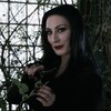 Логотип телеграм канала @whimsybimbo — 𝒲𝒽𝒾𝓂𝓈𝓎 ℬ𝒾𝓂𝒷ℴ
