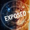 Logo of telegram channel whiplash347qsiexposed — Whiplash347 QSI EXPOSED