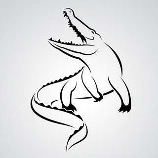 Логотип телеграм канала @white_croc — White Croc | IT education 🐊
