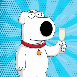 Logo of telegram channel white_dog_ton — WHITE DOG | TON
