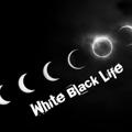 Logo saluran telegram white_biack_life — 🤍𝐖𝔥𝔦𝔱𝔢 𝐁𝔩𝔞𝔠𝔨 𝐋𝔦𝔣𝔢🖤