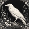 Логотип телеграм канала @white_crows_wing — Гнездо белой вороны