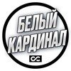 Логотип телеграм канала @white_trafficcardinal — Белый кардинал | Белый арбитраж и маркетинг