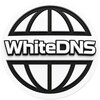 لوگوی کانال تلگرام whitedns — White DNS