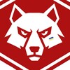 Логотип телеграм -каналу whitefoxukr — White FoX Trns