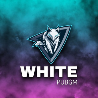 Logo of telegram channel whitepubgm — WHITE PUBGM ☑
