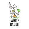 Логотип телеграм канала @whiterabbit_go — WhiteRabbit_Go