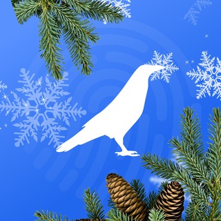 Логотип телеграм канала @whiteraven_news — Белый Ворон | Крипто | White Raven