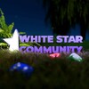 Логотип телеграм канала @whitestarmsk — White Star & Community MSK (мафия, покер, бункер, игры)