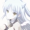 Logo of telegram channel whitewingangel — ꒰ঌ whitewingangel ໒꒱
