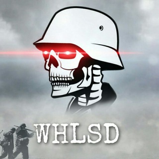 Логотип телеграм канала @whlsd — WHLSD