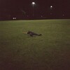 Логотип телеграм канала @whoisnieo — I Don't know
