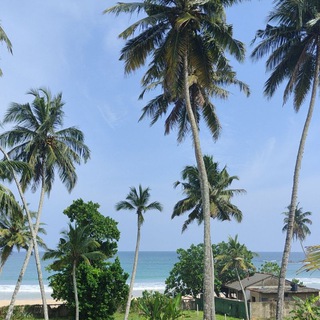 Логотип телеграм канала @whrtogo — Куда уехать? WhereToGo?