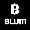 Логотип телеграм канала @why_blum — Переходник🤫