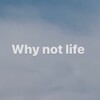 Логотип телеграм канала @whynotlife1 — Why not life