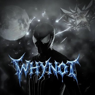 Telegram channel whynot So2 logo