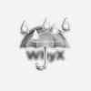 Logo of telegram channel whyxtg — WhyX