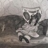 Логотип телеграм канала @wiershy — вирши