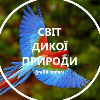 Логотип телеграм -каналу wiid_nature — Дика природа 🦏 | Краса світу 🏞