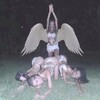 Logo de la chaîne télégraphique wiintrluni222 - maìson des anges༅